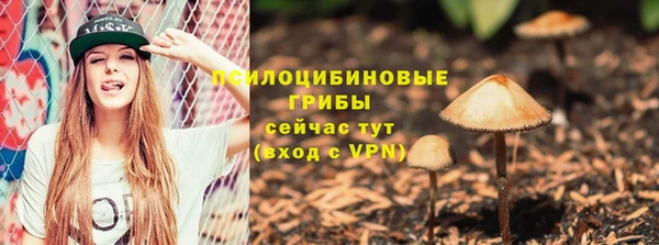 apvp Алексин