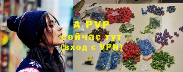 apvp Алексин