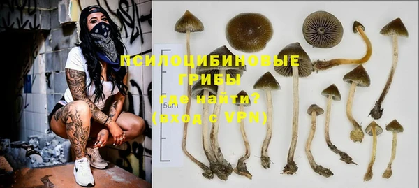apvp Алексин