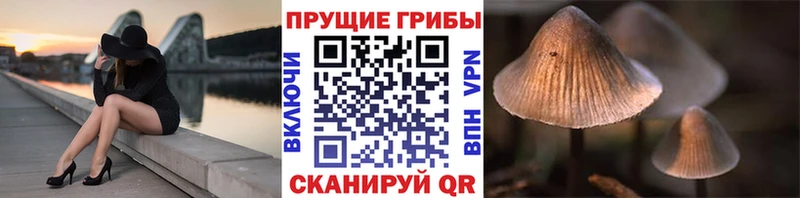 mega tor  darknet формула  Галлюциногенные грибы Psilocybe  Лобня 